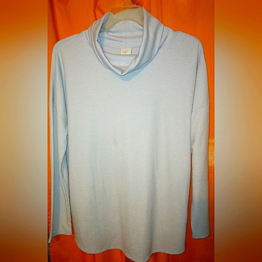 a•new•day Turtleneck Top Sz 1X